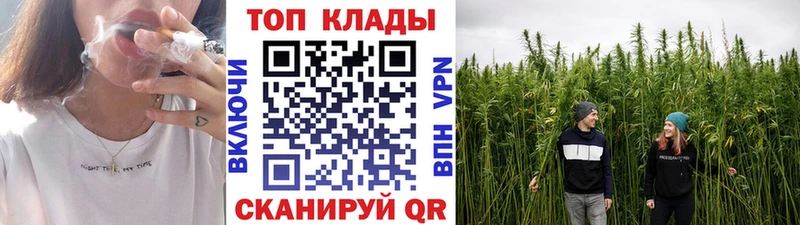 Где купить наркотики Судак МЕТАДОН  COCAIN  Псилоцибиновые грибы  Гашиш  Канабис 