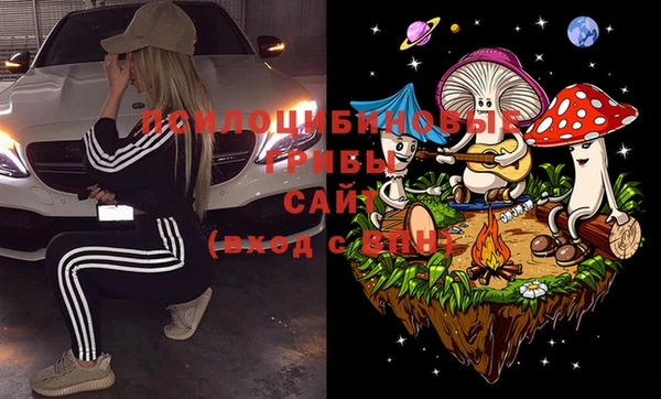 спайс Аркадак